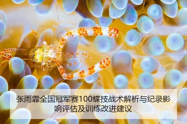 张雨霏全国冠军赛100蝶技战术解析与纪录影响评估及训练改进建议