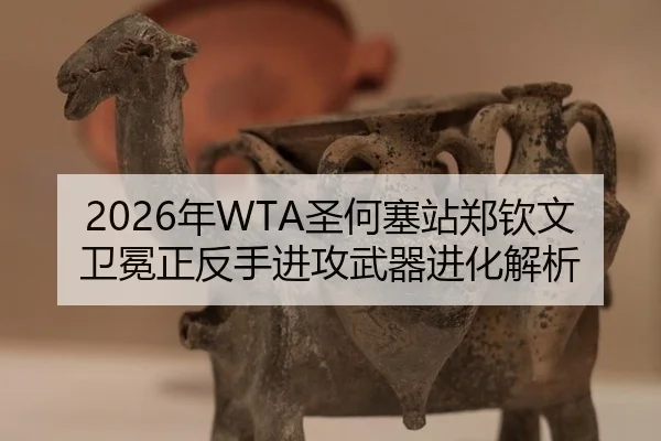 nian-sheng-he-sai-zhan-zheng-qin-wen-wei-mian-zheng-fan-shou-jin-gong-wu-qi-jin-hua-jie-xi-3-752.jpg